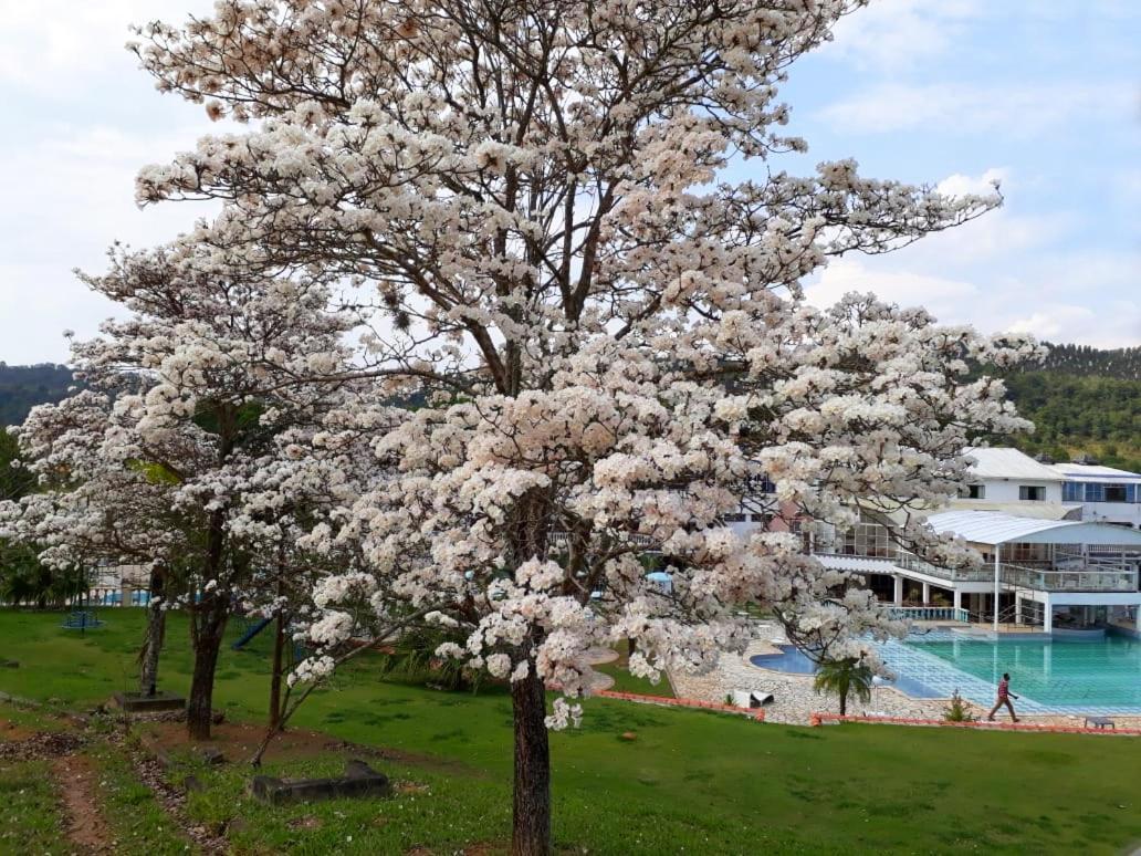 Vale Do Encantado Park Hotel Fazenda Guararema Esterno foto